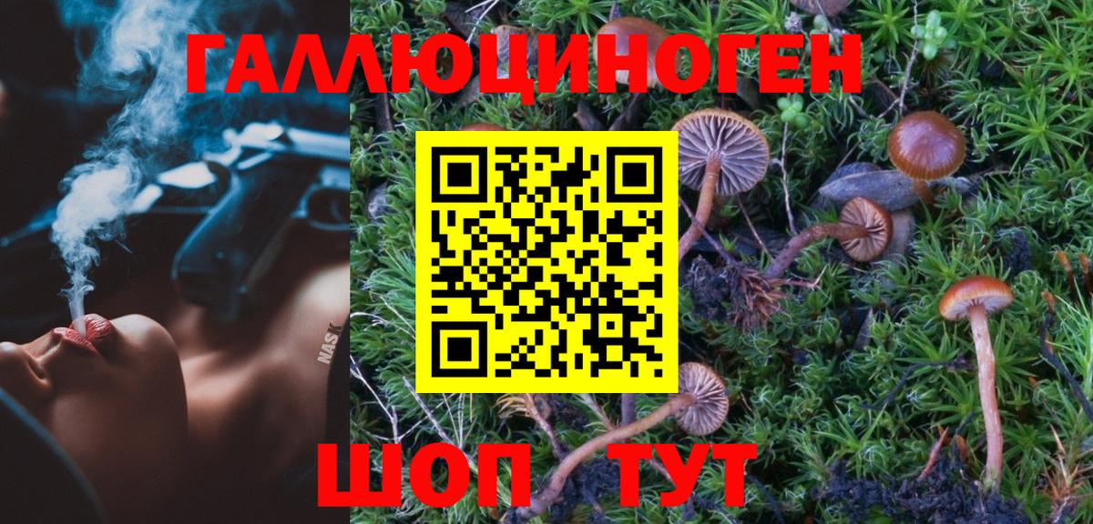 Псилоцибиновые грибы Psilocybine cubensis  Вход с VPN  Губаха  Псилоцибиновые грибы ЛСД 