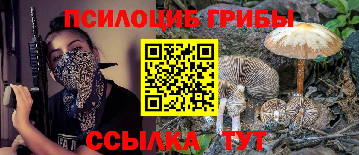 Галлюциногенные грибы прущие грибы Губаха